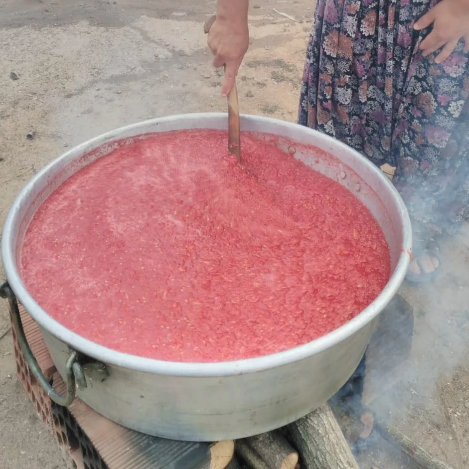 Köy Domatesi Rendesi - Görsel 6