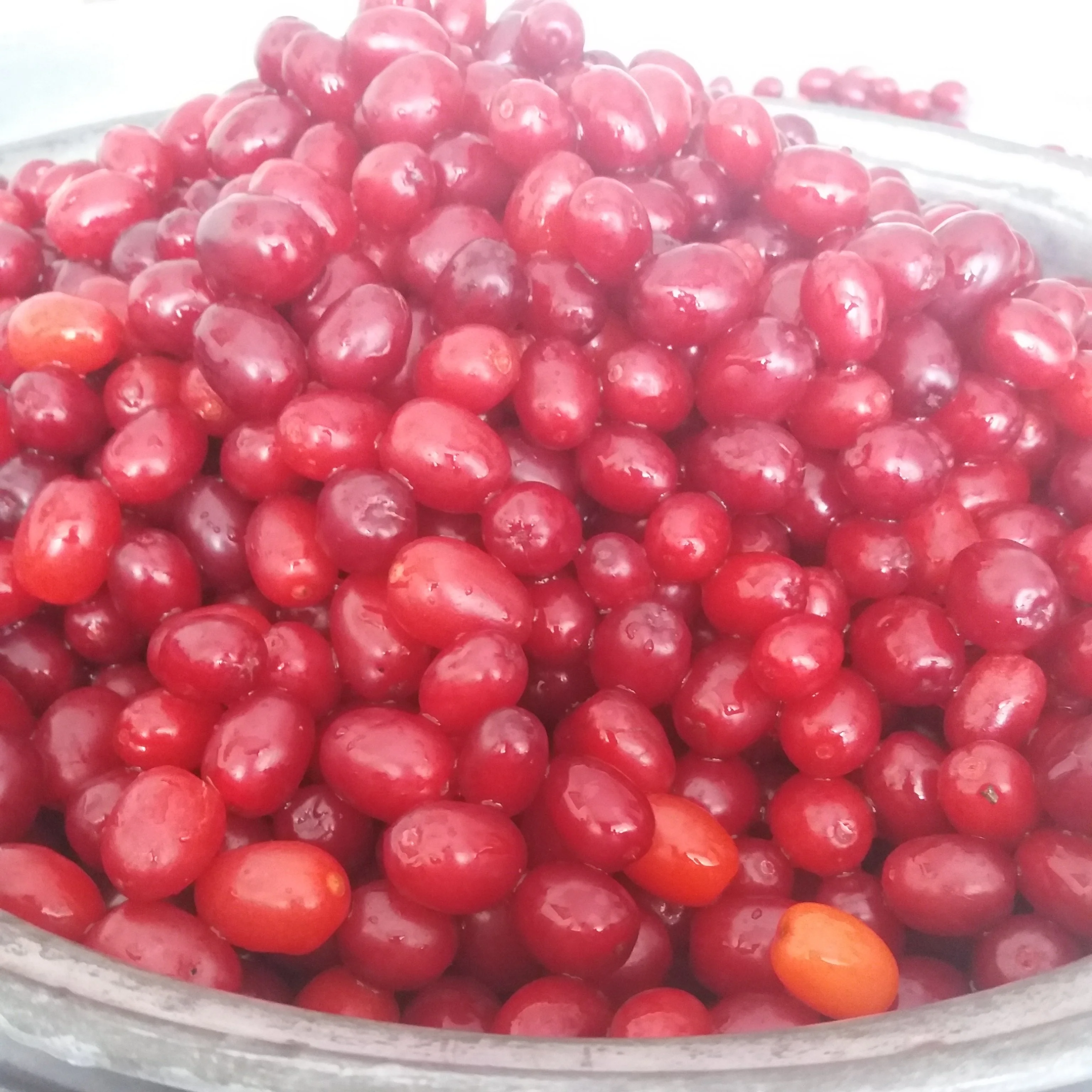 Kızılcık Marmelatı - net:360 gram - Görsel 5