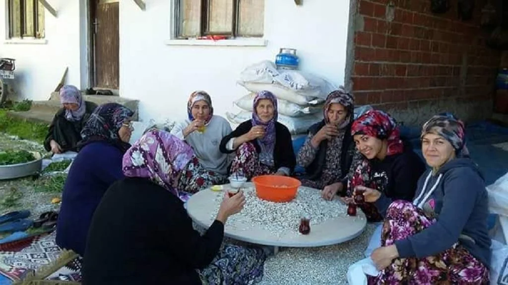 Kazak / Horoz Fasulye - Yerli Tohum - Görsel 2
