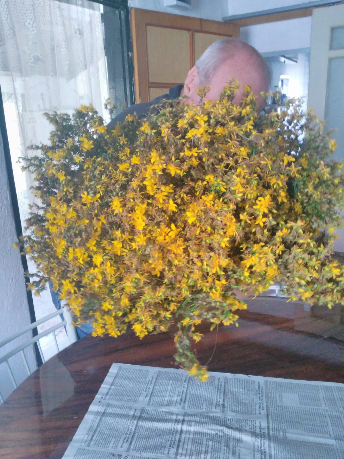 Doğal Sarı Kantaron Çayı 50gr'lık paket - Görsel 3