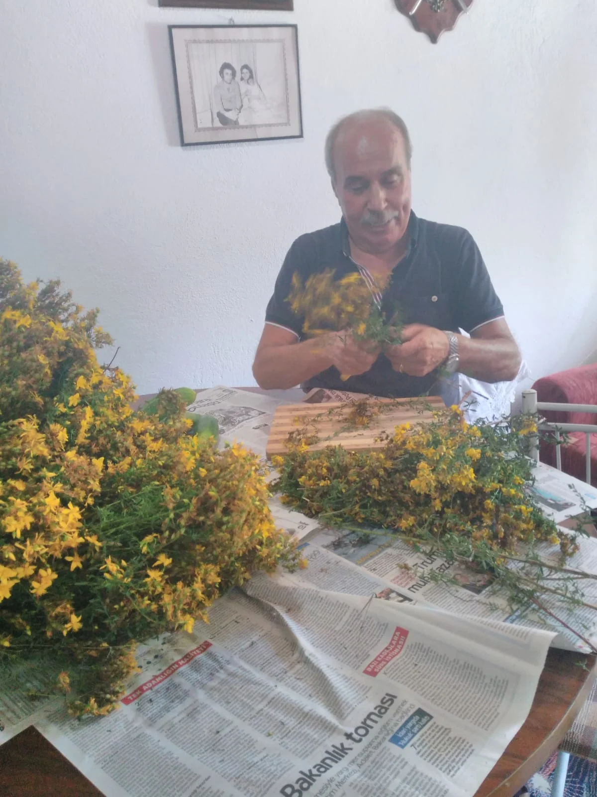 Ev Yapımı Sarı Kantaron Yağı Doğal - 250ml - Görsel 2