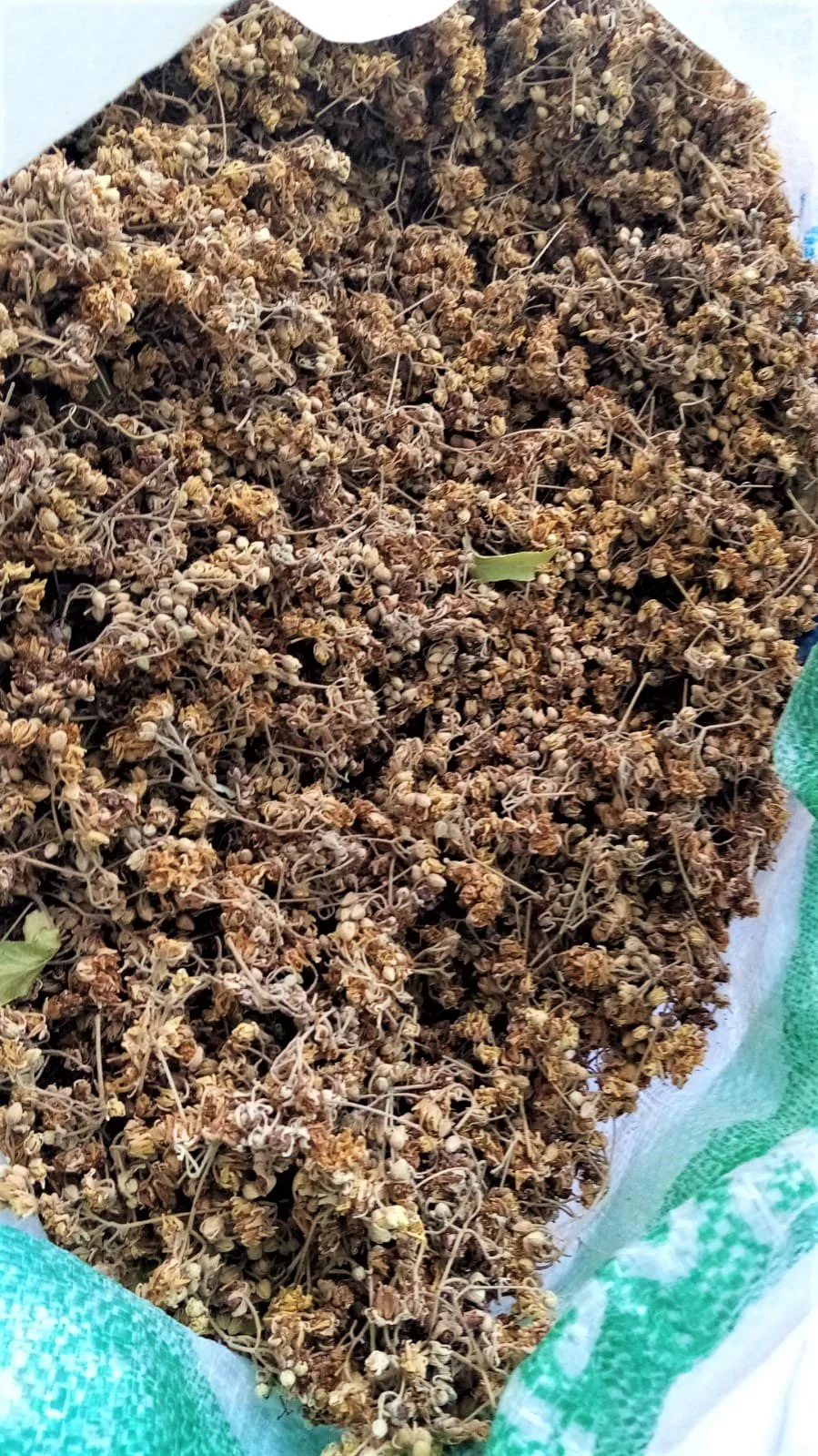 Çiçek Ihlamur (yapraklı) 50 gr'lık paket - Görsel 4