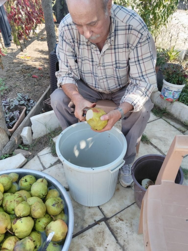 doğal armutlar doğranıyor