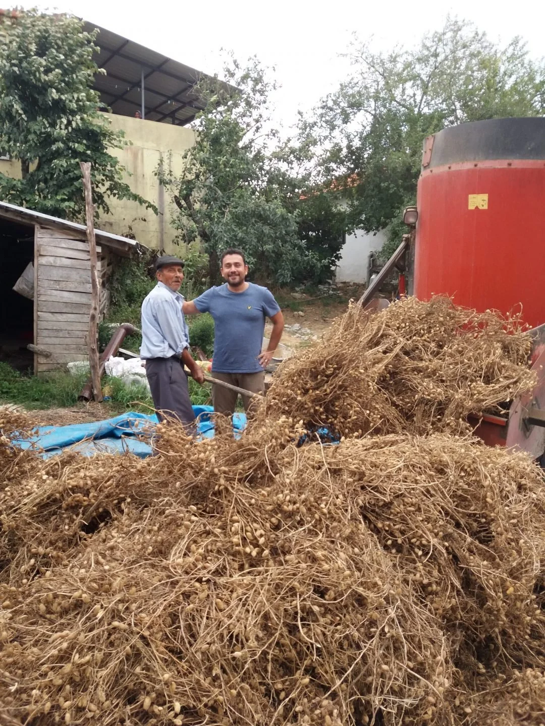 Yerli Nohut 500 gr'lık paket - Görsel 3