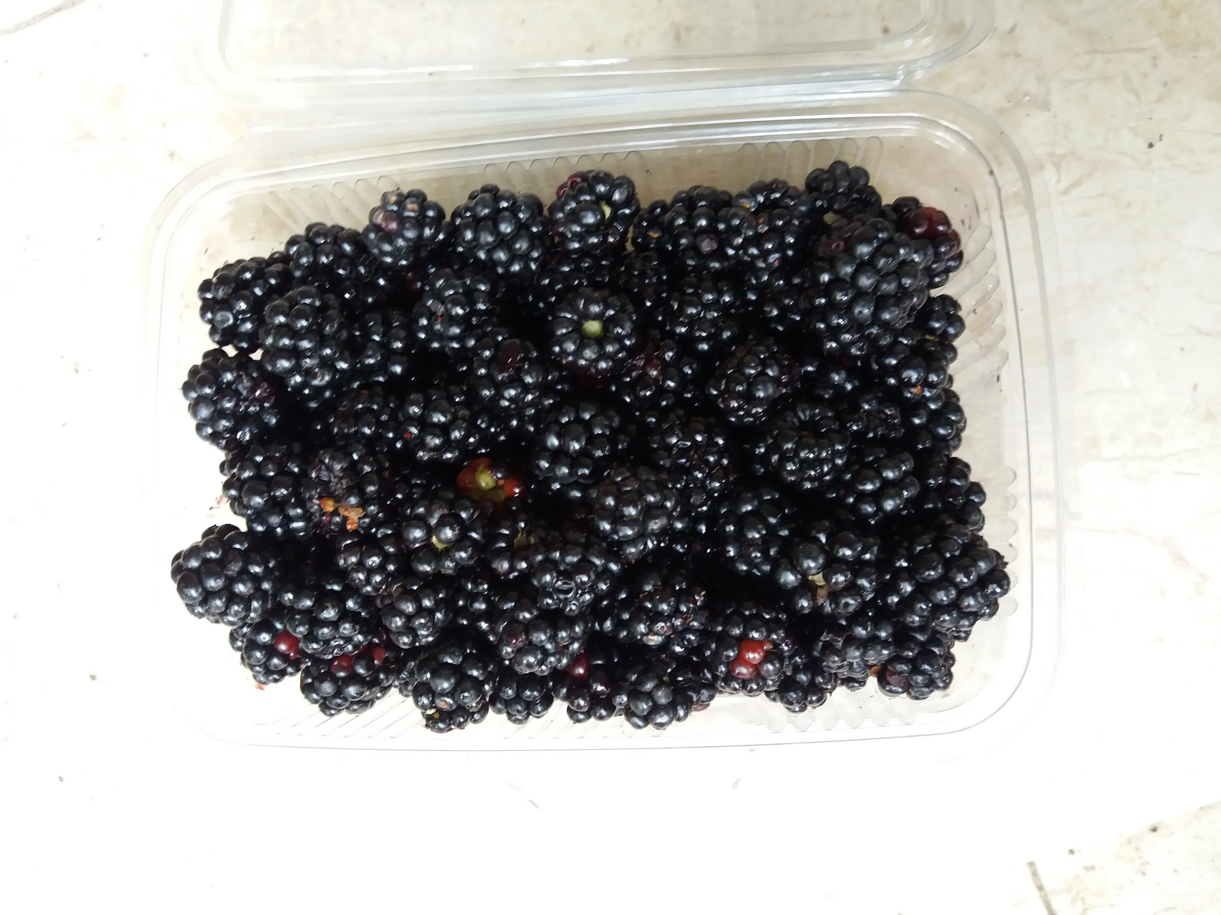 Böğürtlen Reçeli Karamuk 370 gr kavanoz - Görsel 4