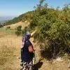 Ev Yapımı Kuşburnu Marmelatı, 425cc - 500 gr - Görsel 5