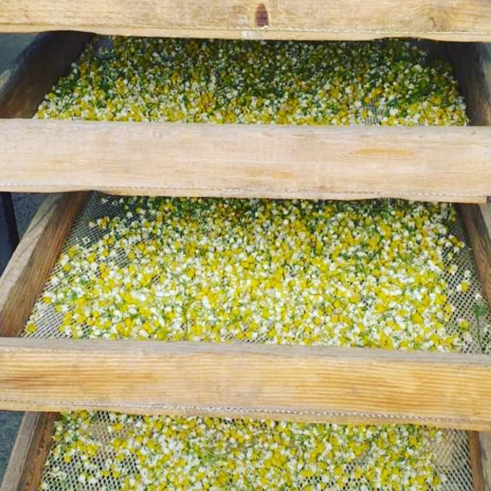 Papatya Çayı - 50 gr - Görsel 2