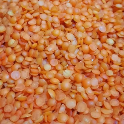 Kırmızı Mercimek - 500 gr - Görsel 2