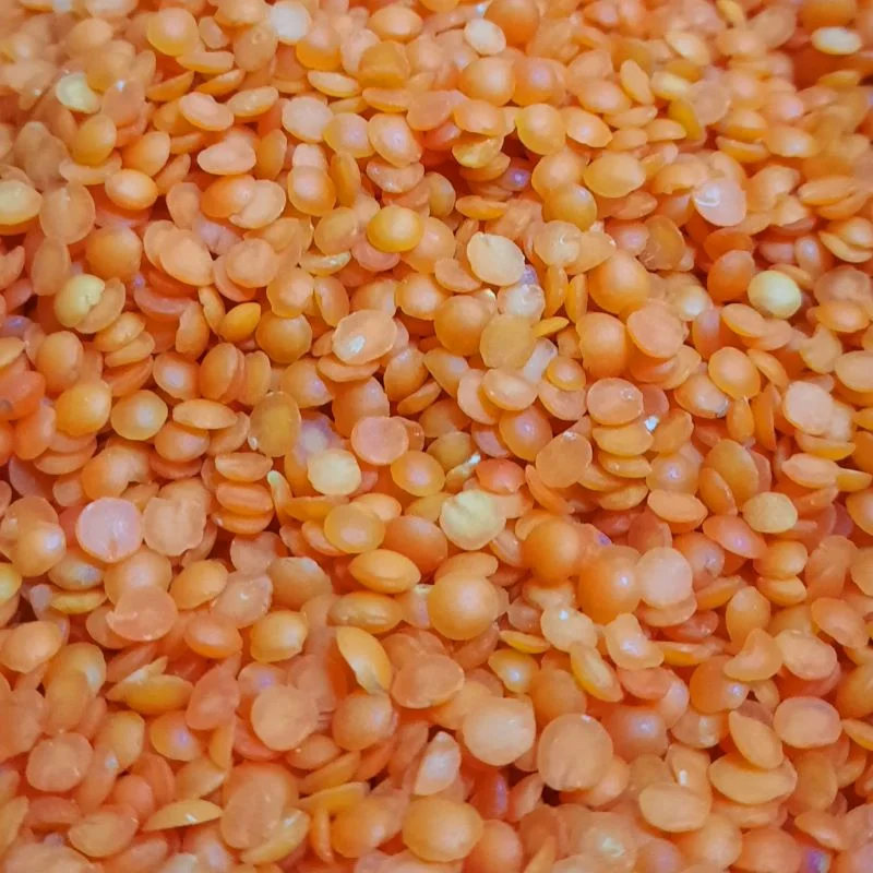Kırmızı Mercimek - 500 gr - Görsel 2