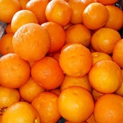 Turunç Reçeli - 440 gr - Görsel 4