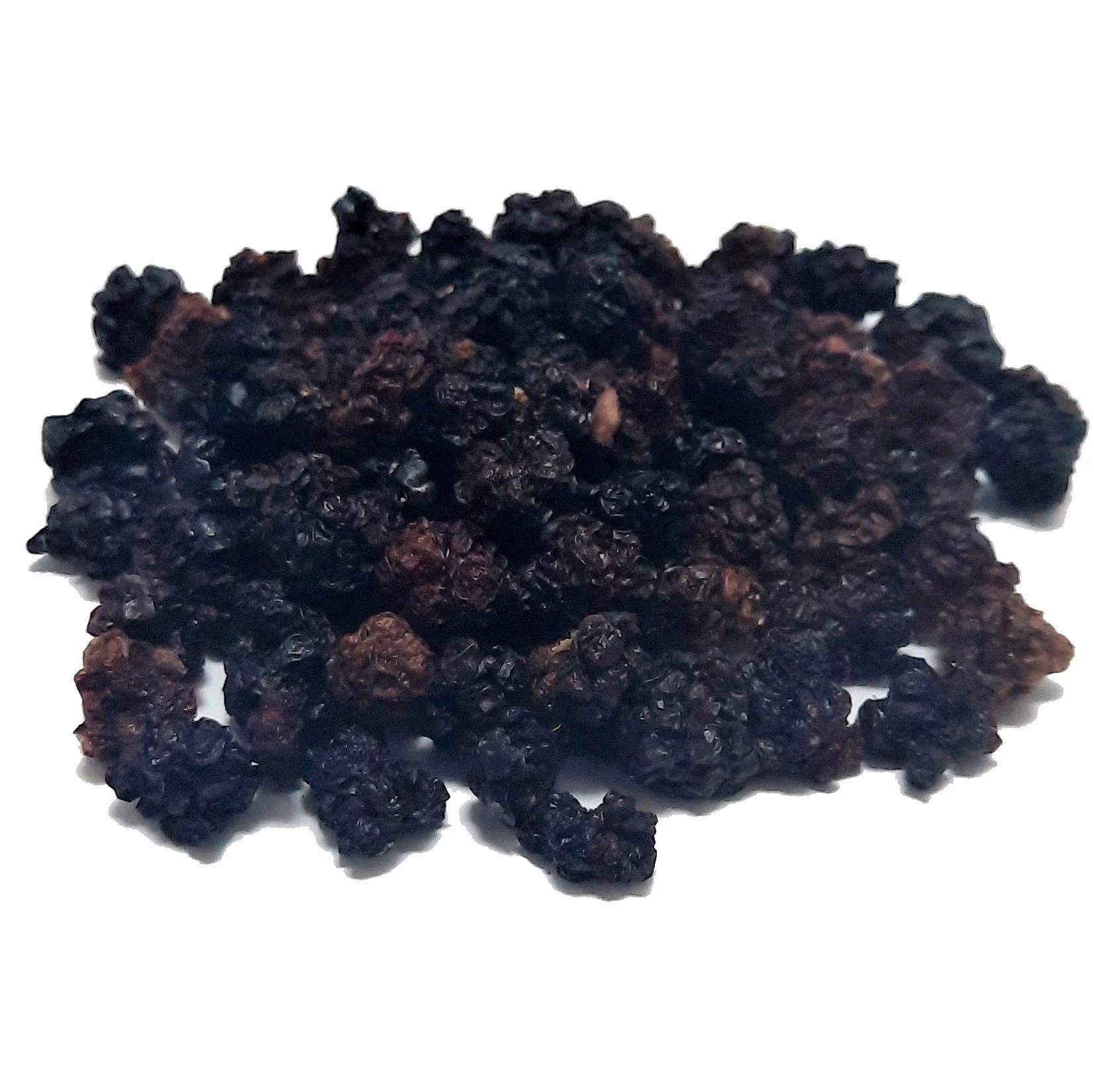 Yabani Böğürtlen Kurusu