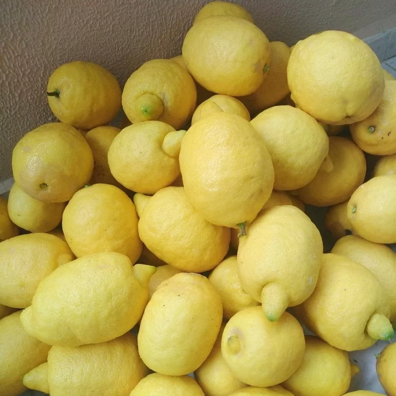 Limon Reçeli - 460 gr - Görsel 4