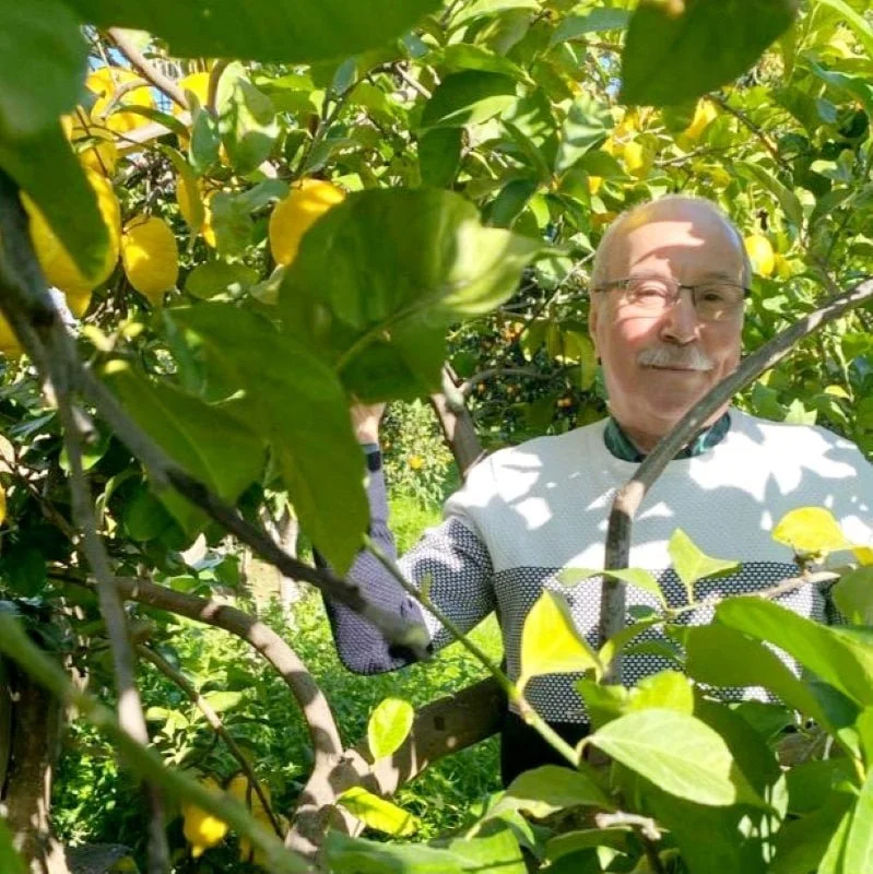 Limon Reçeli - 460 gr - Görsel 5