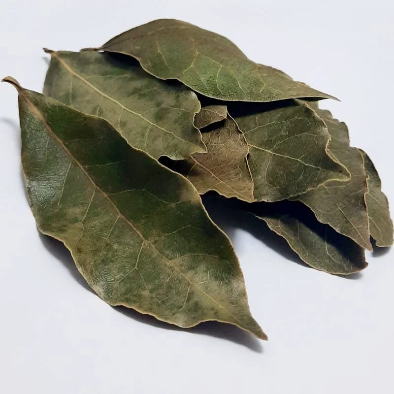 Defne Yaprağı - 6 gr - Görsel 2